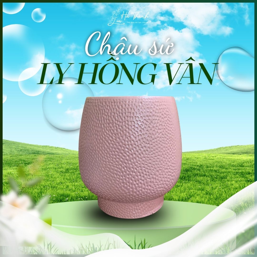 Chậu Sứ Ly Hồng Vân&nbsp;